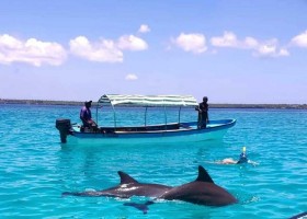 KidsReizen Tanzania---Zanzibar---bootje-en-zwemmen-met-dolfijnen KidsReizen - familiereis Tanzania 30pluskids