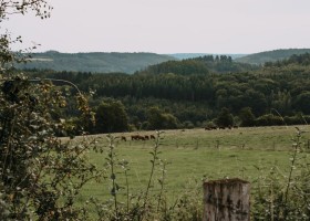 Boerenbed Rochefort en Ardenne in Belgie weide BoerenBed Rochefort en Ardenne 30pluskids