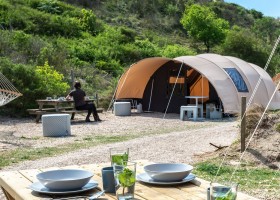 Camping Vista SanVicino in Le Marche, Italie tulip tree Agriturismo Vista San Vicino 30pluskids
