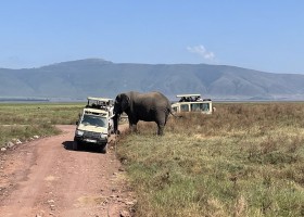 KidsReizen Tanzania-Ngorongoro-safari KidsReizen - familiereis Tanzania 30pluskids