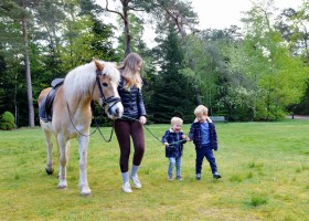 Bosvillapark Eureka in Twente, Nederland ponyrijden 2 Villapark Eureka 30pluskids