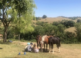 15 Domaine du Cammazet in Lapenne, Frankrijk kinderen met paarden 2 Domaine du Cammazet 30pluskids