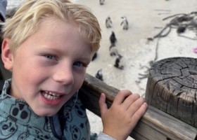 NRV Reizen Zuid-Afrika pinguins bis NRV Familiegroepsreis Zuid-Afrika Tuinroute & Kruger 30pluskids