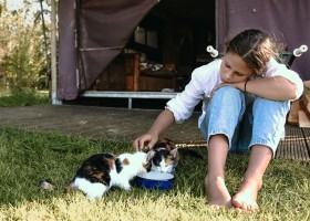 BoerenBed De Kalverweide in Kallenkote, Nederland katjes BoerenBed De Kalverweide 30pluskids