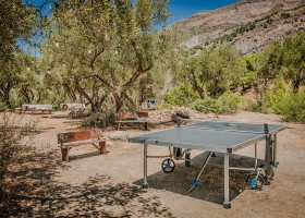 Casa Lobera in Andalusie Spanje Orchard4 Casa Lobera  30pluskids