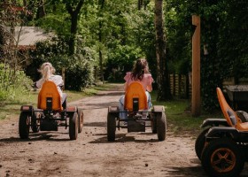 Boslodge Grasmus in Nunspeet op de Veluwe Gelderland Nederland skelteren Boslodge Huismus 30pluskids