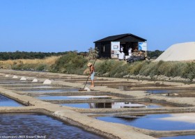 Le Pre d'Olonne in de Vendee Frankrijk zoutvelden 1 copyright Scouri Sherif Le Pré d’Olonne 30pluskids