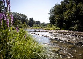 La Vallee Verte rivier de Ceze.jpg Camping La Vallee Verte  30pluskids