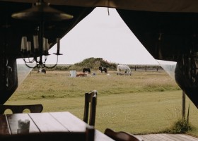 BoerenBed Hoeve Ameland Waddeneilanden Friesland Nederland uitzicht vanuit tent BoerenBed Boerderij Ameland 30pluskids