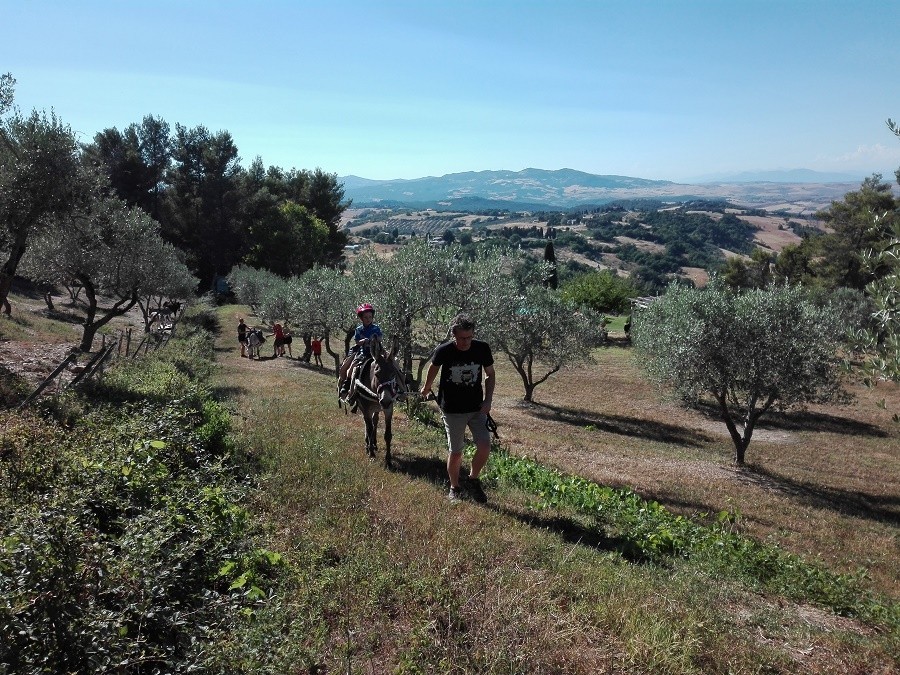 Altratoscana in Toscane, Italie ezelwandeling