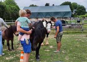 Le Petit Chaillot in Poitou-Charente, Frankrijk pony's Le Petit Chaillot 30pluskids