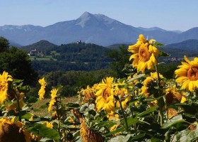 6-Pyrenees Passions in Estadens Frankrijk cagire-surrounding Domaine Pyrénées Passions  30pluskids