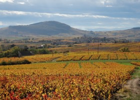 Domaine Lachat in de Rhone-Alpes, Frankrijk herfstkleuren Domaine Lachat 30pluskids