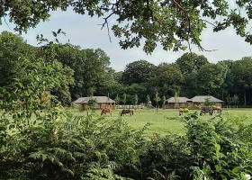Klein Koestapel in Putten op de Veluwe, Nederland safaritenten en paarden Klein Koestapel 30pluskids
