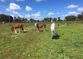 Verdemar in de Alentejo, Portugal paard en ezel Verdemar 30pluskids