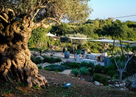 Casa Verdazul in de Algarve, Portugal gezellige tuin B&B Guesthouse Casa Verdazul 30pluskids