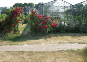 2351_3.jpg De Rozenhorst 30pluskids