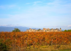 Domaine de la Bade Carcassonne klein.jpg Domaine de la Bade 30pluskids