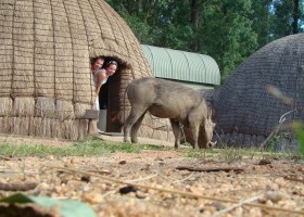Zuid-Afrika rondreis hutten - Zuid-Afrika met kinderen (2) Local Hero Travel Local Hero Travel Family in Zuid-Afrika 30pluskids