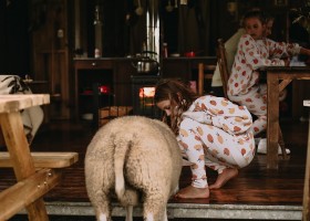 BoerenBed Landgoed ter Wijnedale in Torhout, Belgie kinderen met schaap BoerenBed Landgoed ter Wijnendale 30pluskids