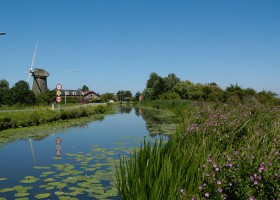De Vreemde Vogel Midden Delfland kl.jpg De Vreemde Vogel 30pluskids