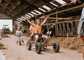 Hoeve Botterheerd in Oostwold Groningen fietsen en skelteren in de stal BoerenBed Botterheerd 30pluskids