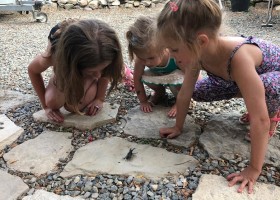 Agriturismo Crose in Piemonte, Italie dieren ontdekken Agriturismo Crose 30pluskids
