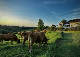14.  Mazieras in de Dordogne, Frankrijk bossen natuur Maziéras - vakantiehuizen 30pluskids