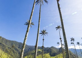 Travelnauts colombia-cocoravallei Travelnauts rondreis Colombia 30pluskids