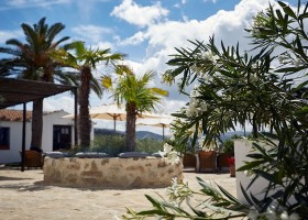 Casa Rural El Olivar in Cordoba, Spanje zitje met palmbomen Casa Rural El Olivar 30pluskids