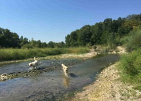 Rendez-vous in Roaix, Frankrijk honden Vakantieverblijf Rendez-Vous 30pluskids
