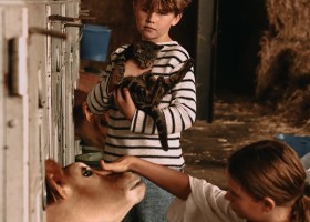 BoerenBed Hoeve ten Overdraght in West-Vlaanderen Belgie stal BoerenBed Hoeve ten Overdraght 30pluskids