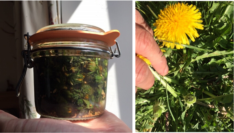 Le Mas d'en Haut in de Creuse, Frankrijk recept kappertjes foto's