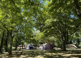 La Grosse Talle Frankrijk camping La Grosse Talle 30pluskids