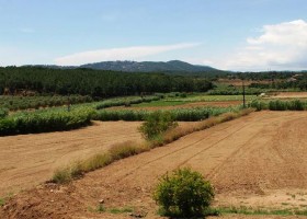 Eliza was here Masia Mas Oller in Catalonie, Spanje omgeving Masia Mas Oller 30pluskids