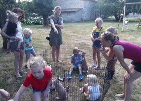 Le Petit Chaillot in Poitou-Charente, Frankrijk met de konijnen Le Petit Chaillot 30pluskids