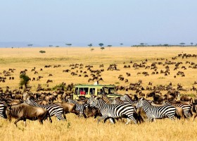 KidsReizen Afrika-Tanzania-Migratie KidsReizen - familiereis Tanzania 30pluskids