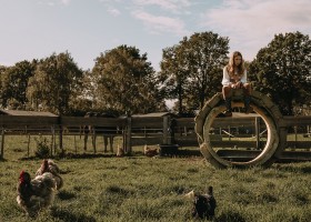 BoerenBed Hoeve De Pippert de Betuwe Nederland tenten en kippen BoerenBed Hoeve de Pippert 30pluskids