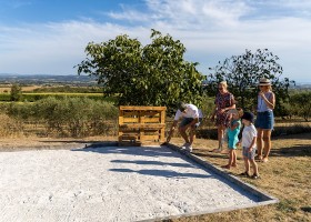 Domaine de la Bade in de Aude, Zuid-Frankrijk petanquebaan Domaine de la Bade 30pluskids