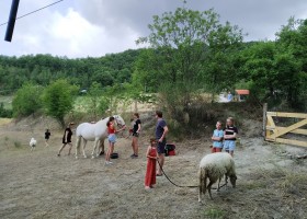Agriturismo Crose in Piemonte, Italie bij de dieren Agriturismo Crose 30pluskids