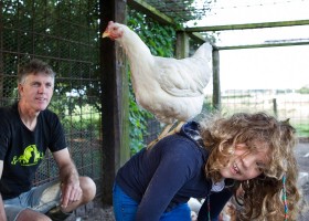 BoerenBed De Zeekraal Terschelling Friesland, Nederland met de kippen BoerenBed De Zeekraal 30pluskids