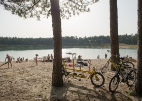 Boslodge Huismus in Nunspeet op de Veluwe Gelderland Zandenplas Boslodge Huismus 30pluskids