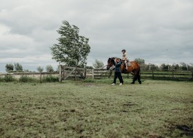 BoerenBed TaarTenTuin in Aarlanderveen Zuid-Holland Nederland paardrijden BoerenBed TaartTenTuin 30pluskids