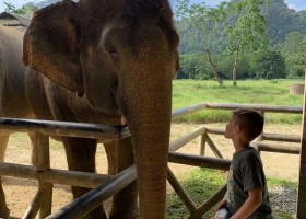 Travelnauts Thailand Elephant Hills olifant Travelnauts rondreis Thailand 30pluskids