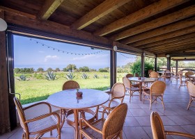 Agriturismo Ninea in Calabrie, Italie terras bij agriturismo Agriturismo Ninea 30pluskids