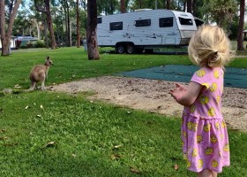 Travelnauts australie-coffs-harbour-fam072004-kid-camping-kangoeroe Travelnauts rondreis Australië 30pluskids