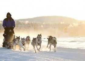 Travelnauts Finland Nellim huskytocht Travelnauts familiereis winters Lapland 30pluskids
