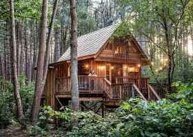 Treelodge in de Kempen, Belgie ©Lucid_Treelodge Treelodge 30pluskids