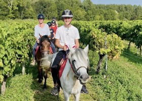 Domaine La Fontaine in Poitou-Charentes, Frankrijk paardrijden tussen druivenranken Domaine la Fontaine 30pluskids