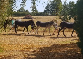 Familie Fiets Vakantie in de Allier, Frankrijk wandelen met ezels Familie fietsvakantie in de Allier 30pluskids